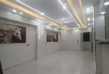 شقق للبيع - 2 غرف - بالدور 10