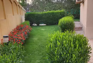Villas For rent - 3 rooms