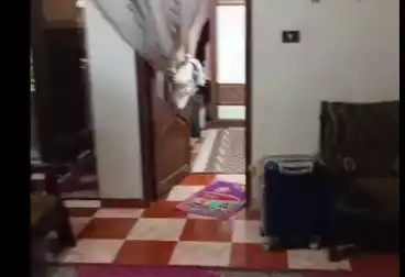 Apartments For sale - 3 rooms - floor 4