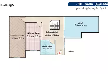 عقارات للبيع - 4 غرف - بالدور 11