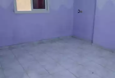 Apartments For rent - 3 rooms - floor 5