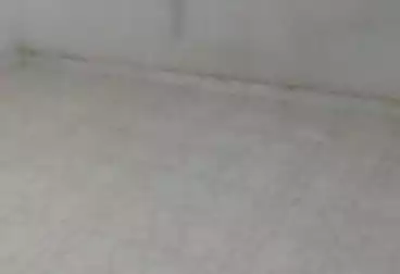 شقق للإيجار - 4 غرف - بالدور 1