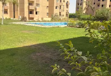 شقق للبيع - 2 غرف - بالدور 0