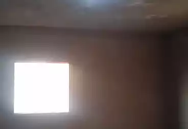 undefined undefined - 3 rooms - floor 1