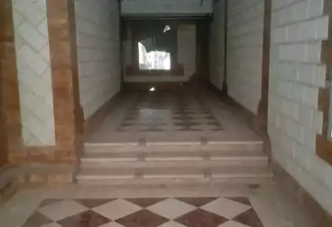 شقق للبيع - 2 غرف - بالدور 1