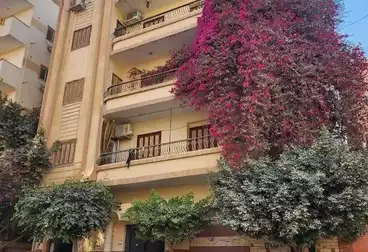 شقق للبيع - 3 غرف - بالدور 3