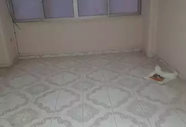 عقارات للإيجار - 3 غرف - بالدور 2