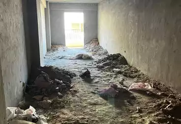 شقق للبيع - 3 غرف - بالدور 11