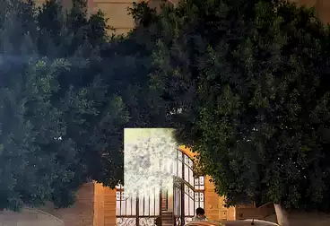 فاملي هاوس للبيع