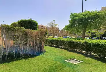 Apartments For sale - 3 rooms - floor 1