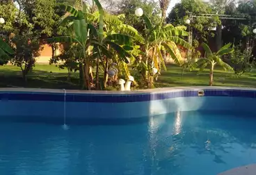 Palace For sale - 6 rooms