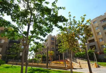 Studio For rent - 1 rooms - floor 1