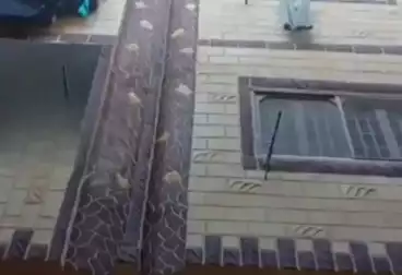 House / Home For sale - 3 rooms