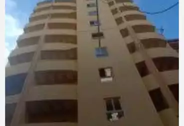 عقارات للبيع - 2 غرف - بالدور 11
