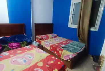 شقق للبيع - 3 غرف - بالدور 11