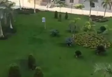 شقق للإيجار - 3 غرف - بالدور 5