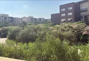 Apartments For rent - 2 rooms - floor 1