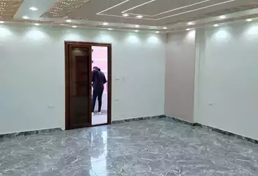 عقارات للإيجار - 3 غرف - بالدور 8