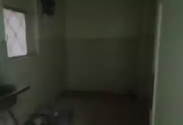 Properties For rent - 3 rooms - floor 1