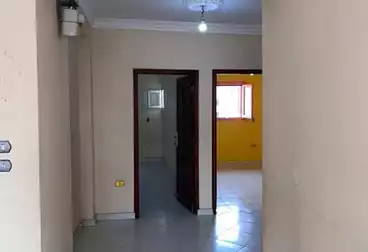 Apartments For rent - 3 rooms - floor 11