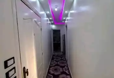 undefined undefined - 2 rooms - floor 11
