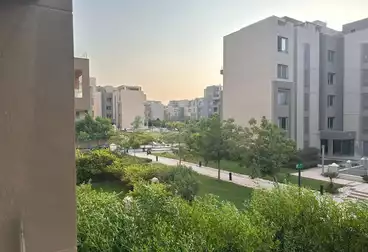 شقق للإيجار - 2 غرف - بالدور 1