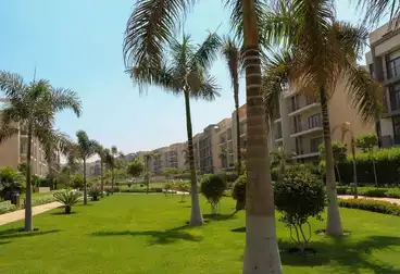 شقق للبيع - 2 غرف - بالدور 2