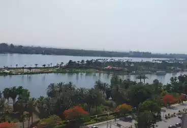 إداري للإيجار - 20 غرف - بالدور 5