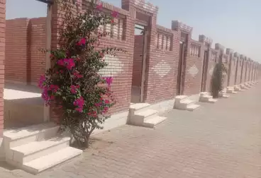 Grave For sale