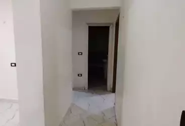 Apartments For rent - 3 rooms - floor 5