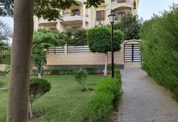 عقارات للإيجار - 3 غرف - بالدور 0