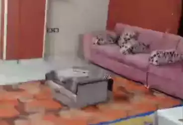 Apartments For sale - 3 rooms - floor 8