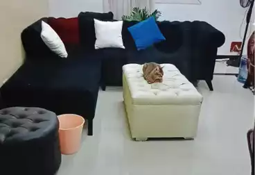 undefined undefined - 2 rooms - floor 2