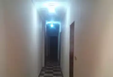 Apartments For rent - 3 rooms - floor 1
