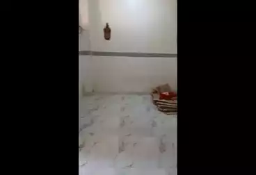 Apartments For rent - 3 rooms - floor 5