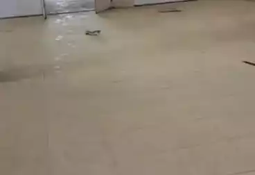 عقارات للإيجار