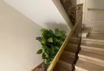 عقارات للإيجار - 3 غرف