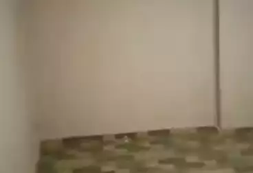 undefined undefined - 3 rooms - floor 8