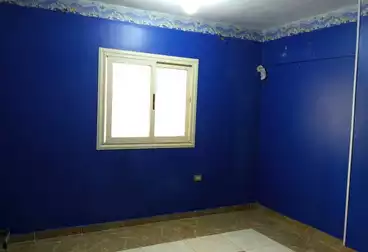 شقق للإيجار - 3 غرف - بالدور 1