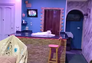 شقق للبيع - 3 غرف - بالدور 3