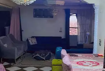 شقق للبيع - 3 غرف - بالدور 11