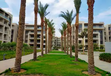 عقارات للبيع - 3 غرف - بالدور 1