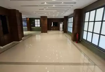 عقارات للإيجار - 10 غرف - بالدور 1