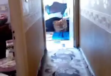 Apartments For sale - 3 rooms - floor 4