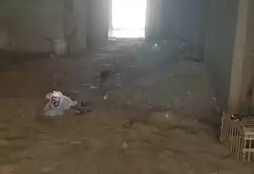 شقق للبيع - 3 غرف - بالدور 2