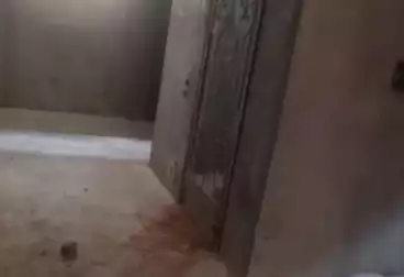 عقارات للإيجار