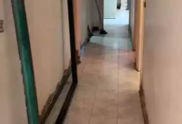 شقق للبيع - 3 غرف - بالدور 2