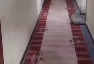 undefined undefined - 3 rooms - floor 2