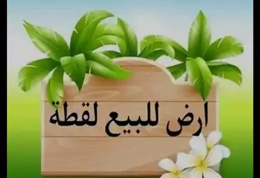 Properties For sale - 1 rooms - floor 1