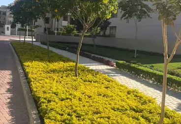 Apartments For sale - 2 rooms - floor 1